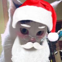 ✩みづき✩ (@1130nekomimi) 's Twitter Profile