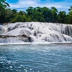 pati01_vg's profile picture. 