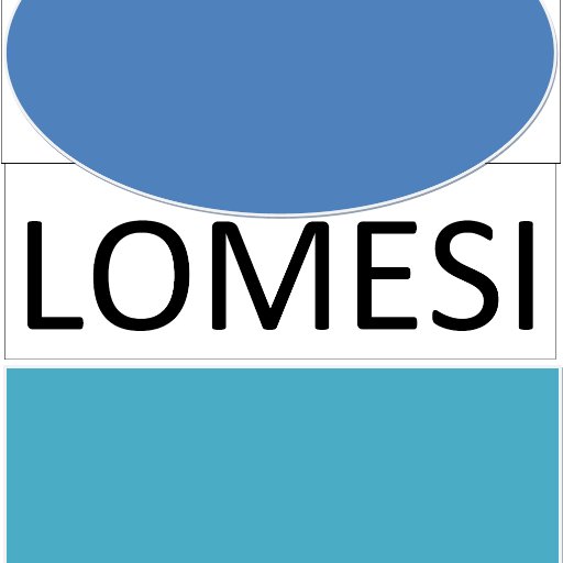 LomesiNews's profile picture. lomesi is the main source of information on social media. It brings good information in the field of technology, dedicated to startups, entertainment & cultures