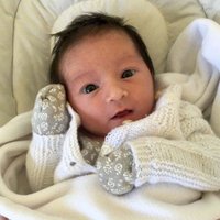Andres Vigna (@delalmazen) 's Twitter Profile