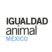 Igualdad Animal Mex(@IA_Mexico) 's Twitter Profile Photo