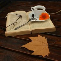 مريم الفلاح (@thabitah1) 's Twitter Profile Photo