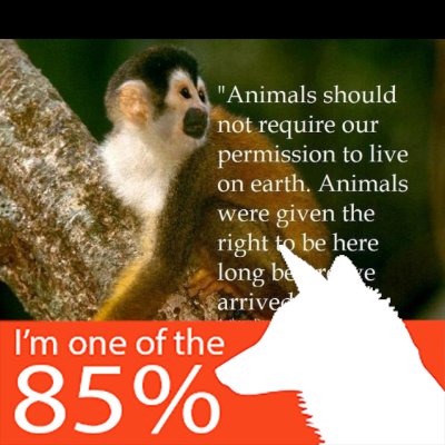 I'm here for the animals. The big the small. I love them all. #Vegetarian #EndTheDogAndCatMeatTrade #StopAnimalAbuse #StopAnimalTesting #EndTheFurTrade 🙏