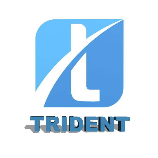 Trident Crypto Index Fund is a trusted partner to Individuals, Families, Asset Managers and Institutions in navigating their Cryptocurrency Investments.