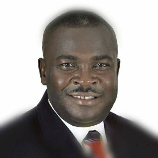 Député de la 1ère circonscription de Jacmel 47ème législature/Président de la Commission des Affaires étrangères et candidat à la Députation (Jacmel)