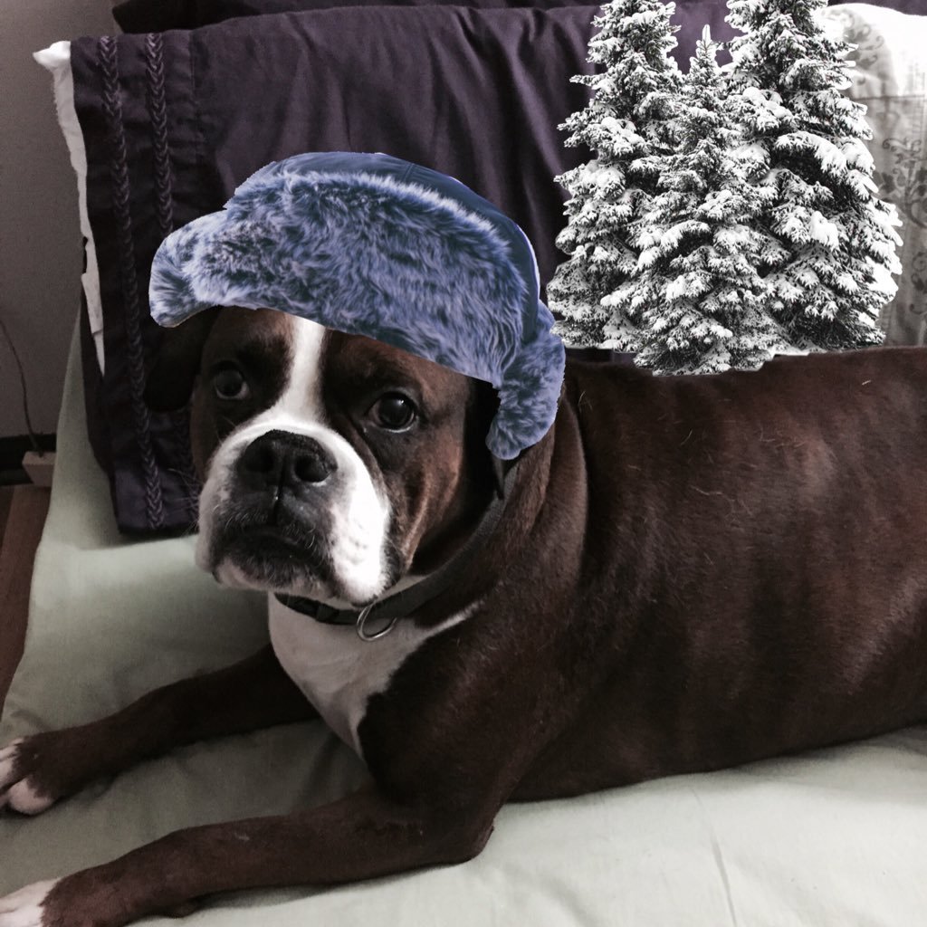 I'm a dog, a pet, and a generally chill and laid back boy. I love most things because I'm a dog. I help #TheResistance. #PetsResist #GeeksResist 🐶🐱🐰🐹