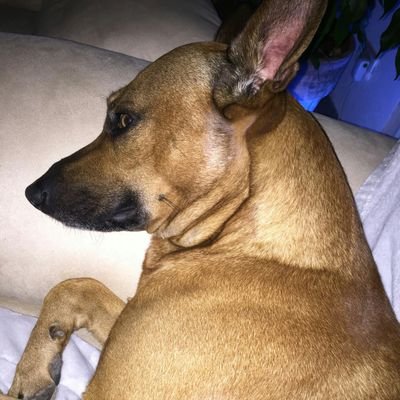 junxXxsache's profile picture. 🏄‍♀️