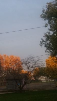 boredtodeath3's profile picture. single mom of 3 and bored