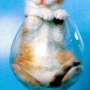 Katie Lemmon - @sour_lemmon29 - Twitter