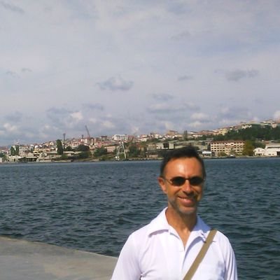 Professor d'institut jubilat de Llengua i Literatura Valenciana i d'Àmbit Lingüístic i Social, i llicenciat en Geografia i Història.