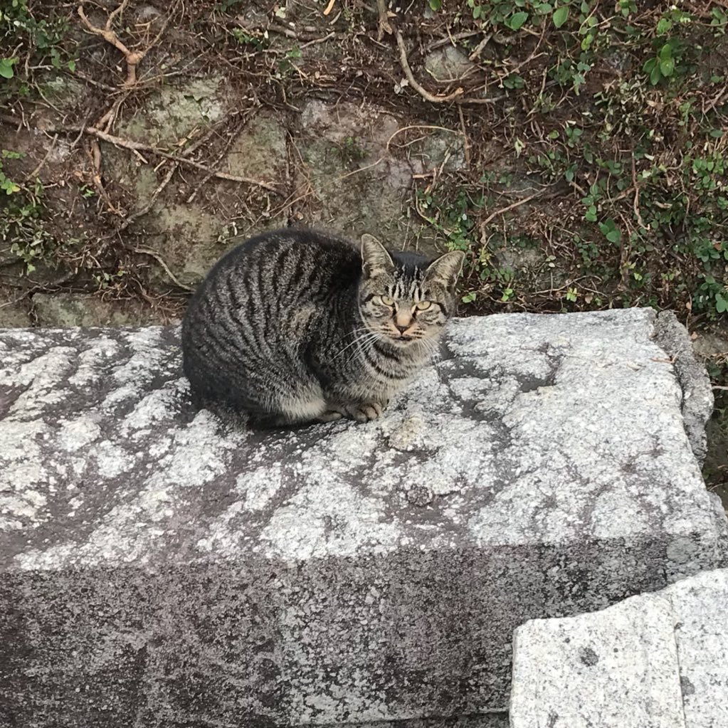 お気軽に