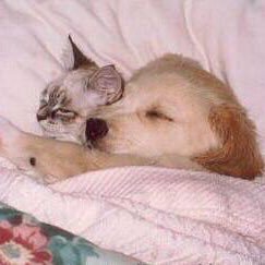 bisousdautomne's profile picture. 💚💓✨🌈💛💜💙