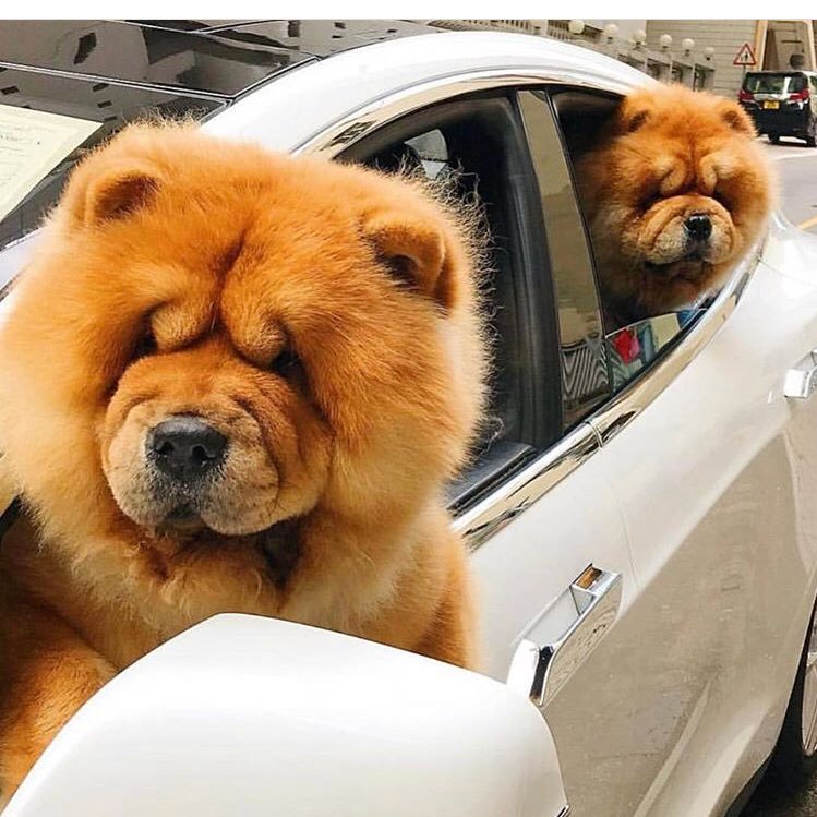 jamesbstrong's profile picture. Go Blue!