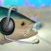 fishlipsmcgee (@fishlipsmcgee) Twitter profile photo fishlipsmcgee (@fishlipsmcgee) Twitter profile photo