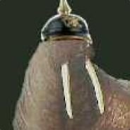 walrushelmet Profile Picture