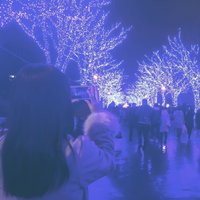たてちゃん (@ttn_xoo) 's Twitter Profile