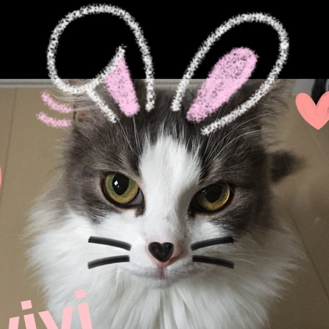 robocon22's profile picture. 