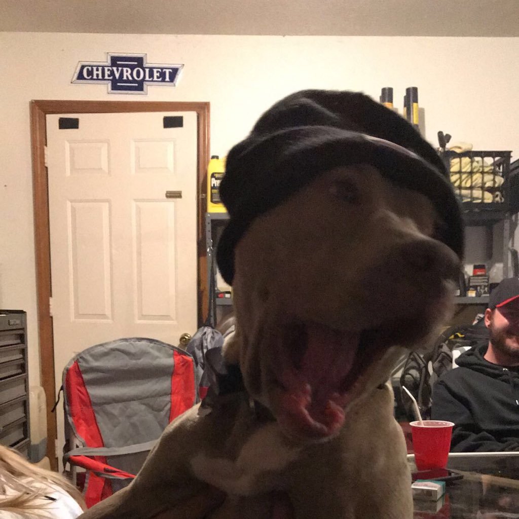 MoElzein18's profile picture. 21 Indiana liven I live my life a 1/4 mile at a time 11-1-15 Taylor 💚