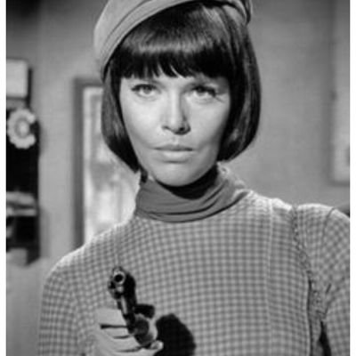 Image result for barbara feldon images