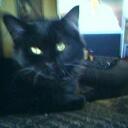 Evan g\Garner - @Evan_Garner - Twitter