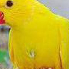 Created this https://t.co/pE0Cbsm0Mk on June 12, 2014 for advocate survivor i i have had a ischemic stroke.