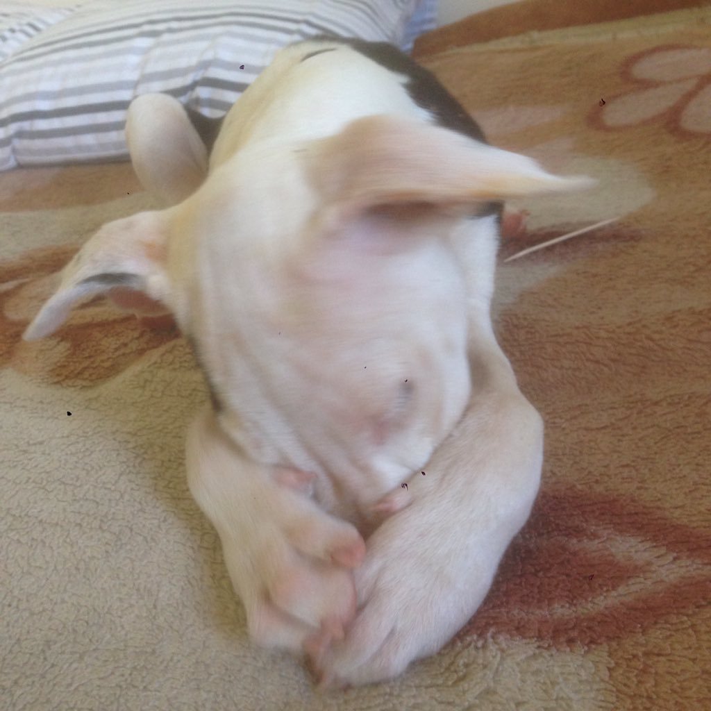 oneNylote's profile picture. Naturopath