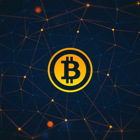 clsyhopelander's profile picture. 