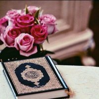 زهرآء باقــر 💛🕊.' (@zahra_774gmail) 's Twitter Profile