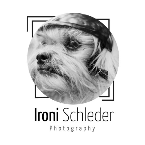 IroniSchleder Profile Picture