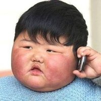 Junglebaccha (@junglebaccha) 's Twitter Profile