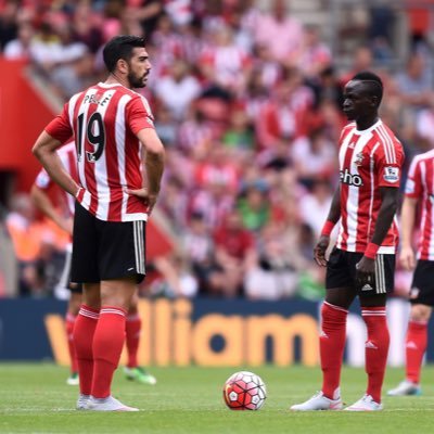 saint_anon's profile picture. Up the Saints. #saintsfc