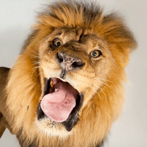 Cryptoprojects_'s profile picture. https://t.co/MCC9U3EG6m | Innovation is seeing what everybody has seen and thinking what nobody has thought $btc $waves $vet $hkn $lend