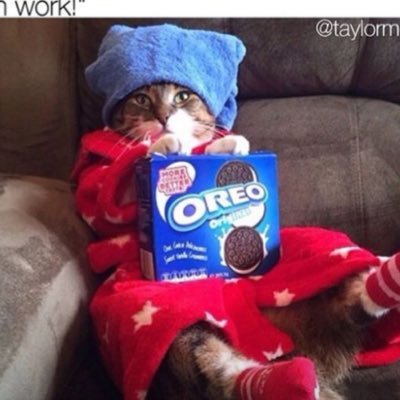 Nicola55421813's profile picture. 