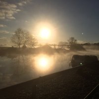 Andrew (@allotmentrunner) 's Twitter Profile