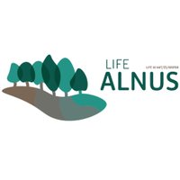 Life+ Alnus (@lifealnus) 's Twitter Profile