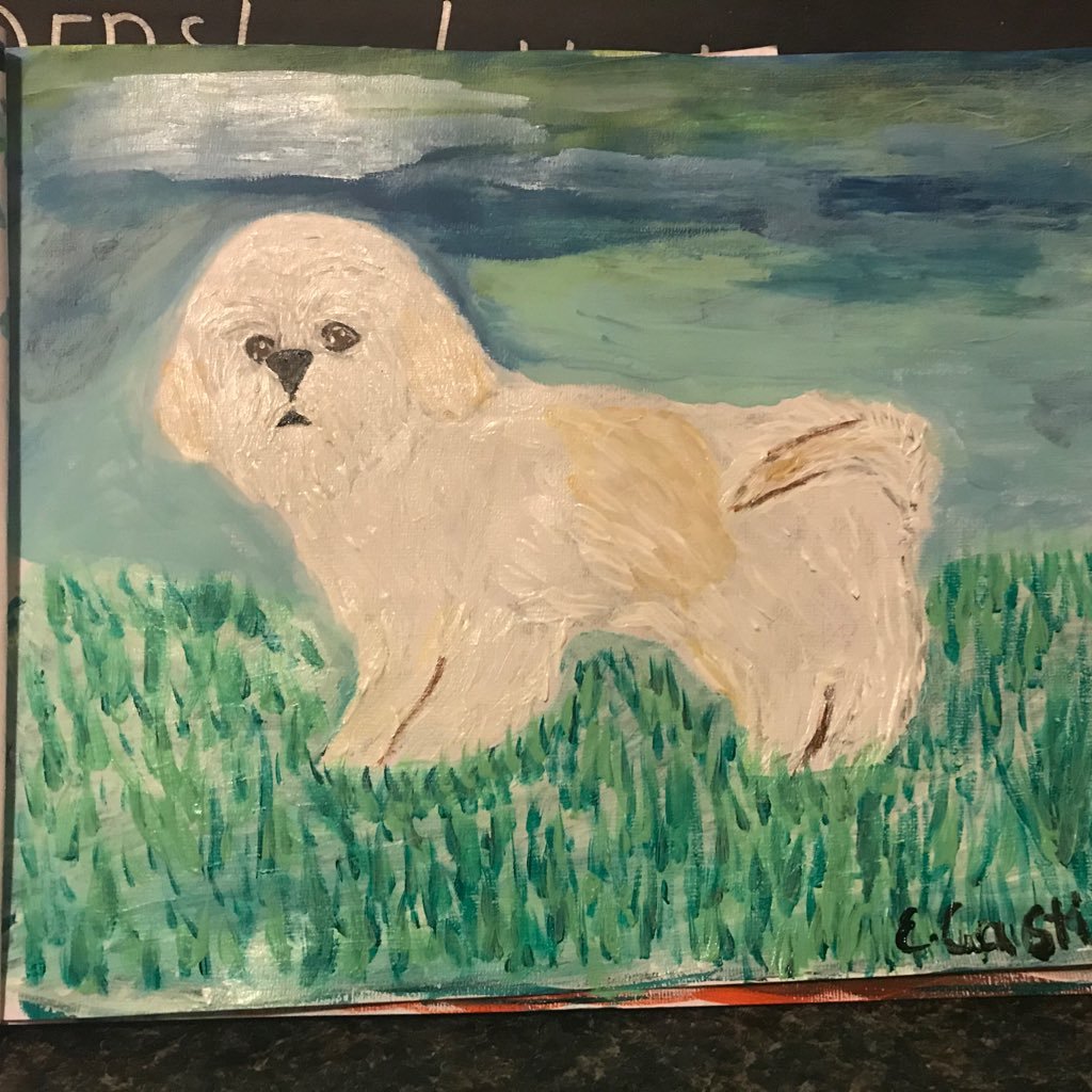 Soylaquebuscaba's profile picture. Yo amo a Ocoa..❤️❤️❤️