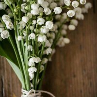 🌾 buğday başağı 🌾 (@ncyfth) 's Twitter Profile
