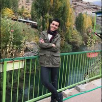 Ayşe Çetinbaş 🏳️‍🌈 🐞 (@aysecetinbas) 's Twitter Profile