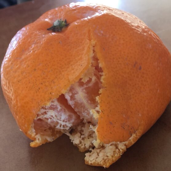 潰れたみかん🍊 (@tsuburetamikan) / Posts / X