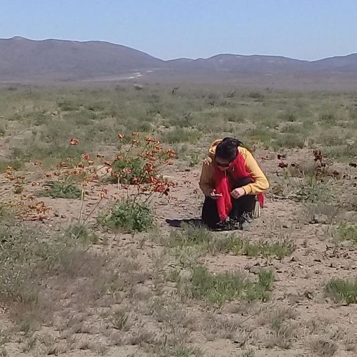 No veo que los problemas ambientales puedan desligarse de los problemas sociales. Biologa y PhD. Opiniones son personales.