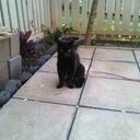 jamie pagan - @okieh2ogirl - Twitter