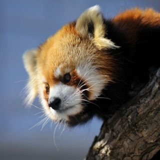 nnhtMxxMR4WfwRb's profile picture. 音響職離脱
ホール　music　カフェ.