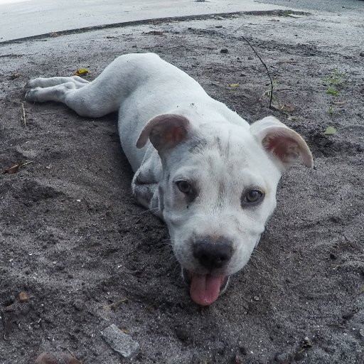 matt_cam_cfd's profile picture. Fitness Enthusiast/Love to Surf/Life is Good 👍