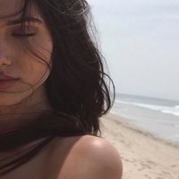 Scarlet (@cerasusceleste) 's Twitter Profile