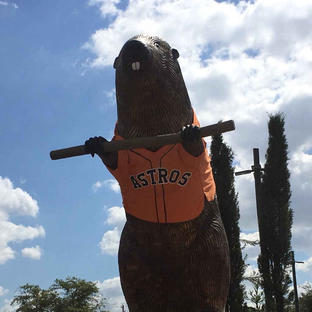 nategorman's profile picture. 