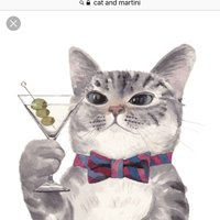 Jimmy Cat (@jimmypeow) 's Twitter Profile
