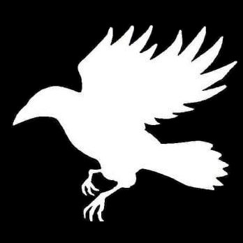 Radamee4real's profile picture. the heck is this?