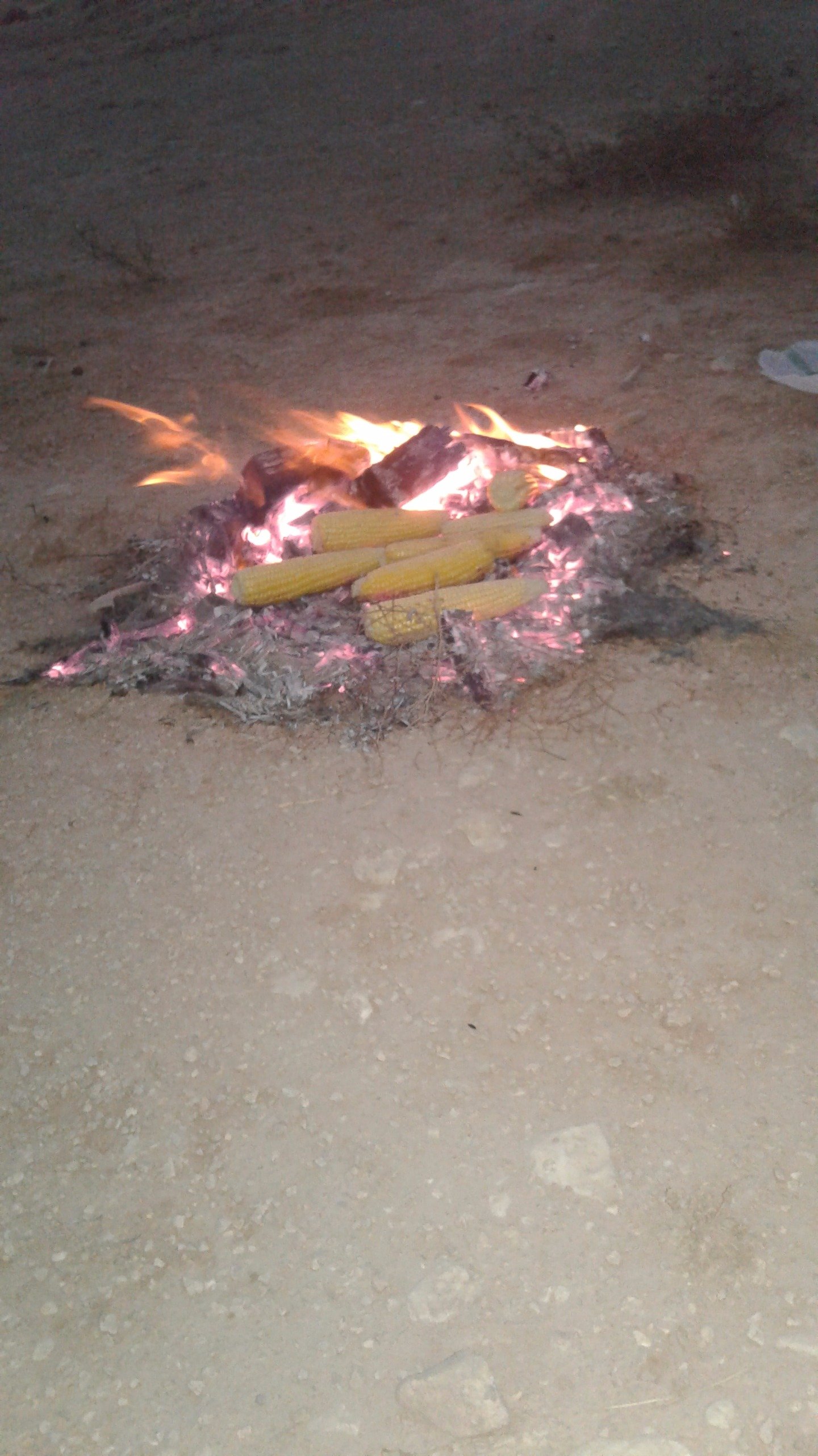 JOihCePj6WglxuI's profile picture. 