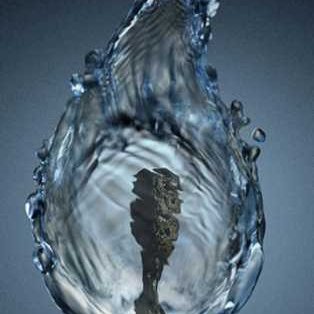 RukayaSyed's profile picture. Once a Journalist 📝@RisingKashmir |

Curious Mind | Technophile | News buff | Reposting epic to heavy stories to spark thought, not endorse. ⛔