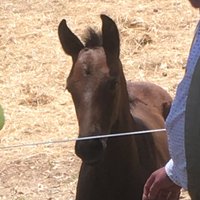 Luke (@giddyup79935351) 's Twitter Profile Photo Luke (@giddyup79935351) 's Twitter Profile Photo